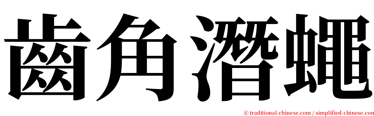 齒角潛蠅 serif font