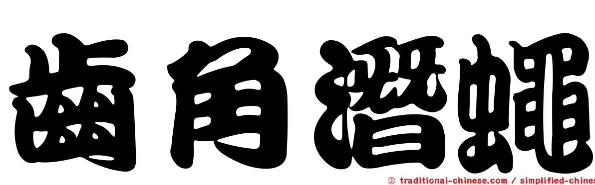 齒角潛蠅