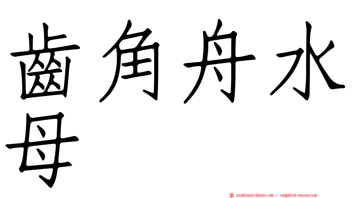 齒角舟水母