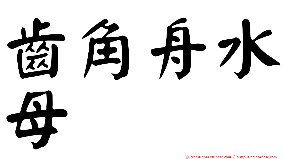 齒角舟水母