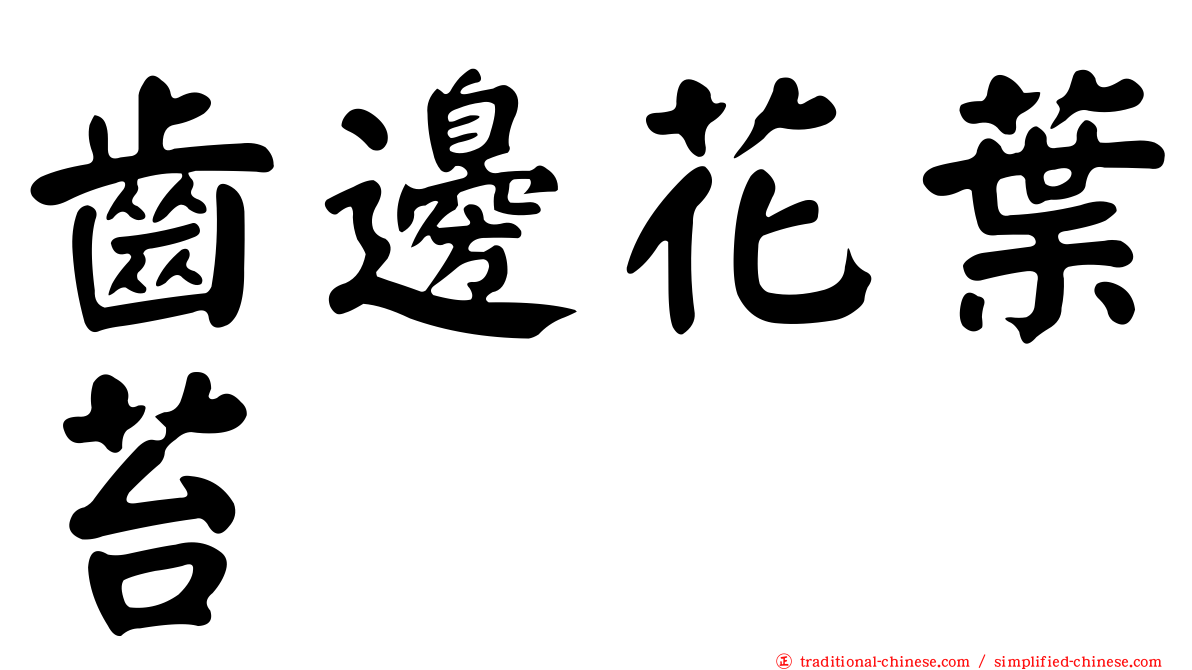 齒邊花葉苔