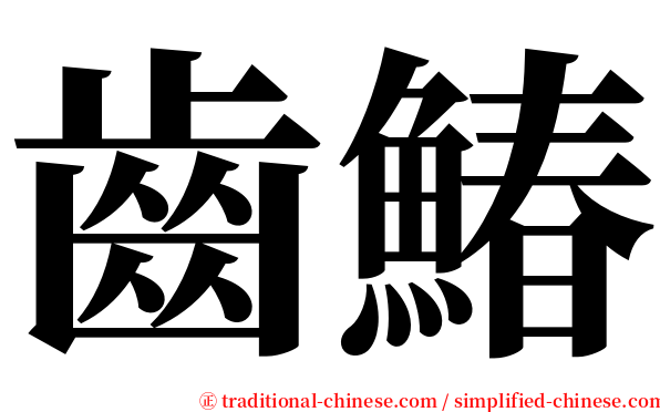 齒鰆 serif font