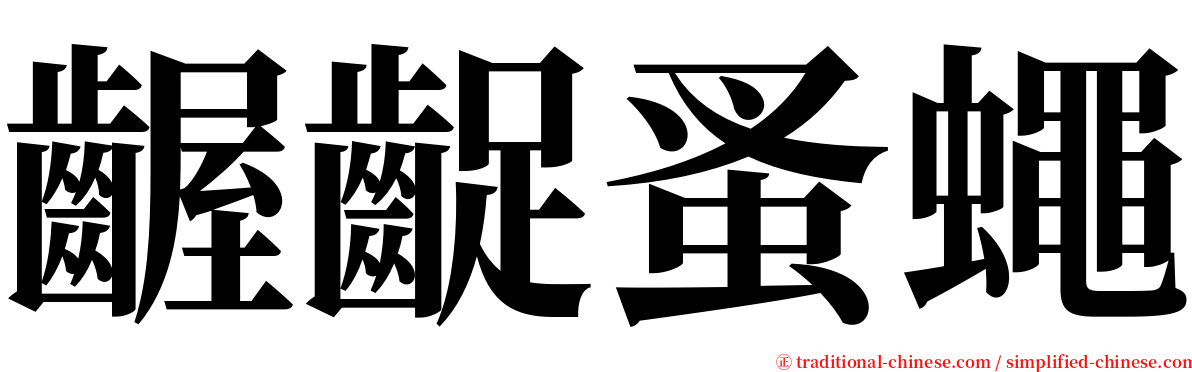 齷齪蚤蠅 serif font