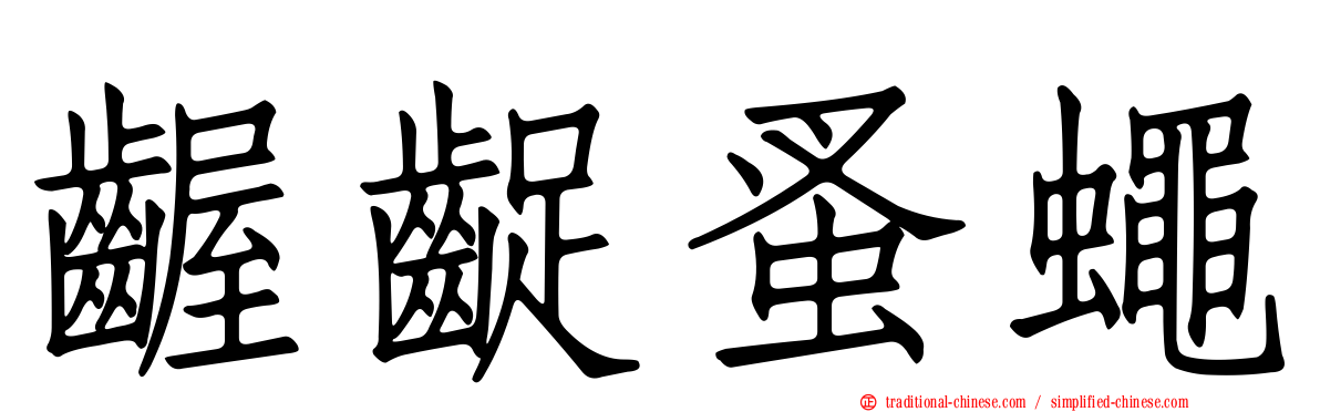 齷齪蚤蠅