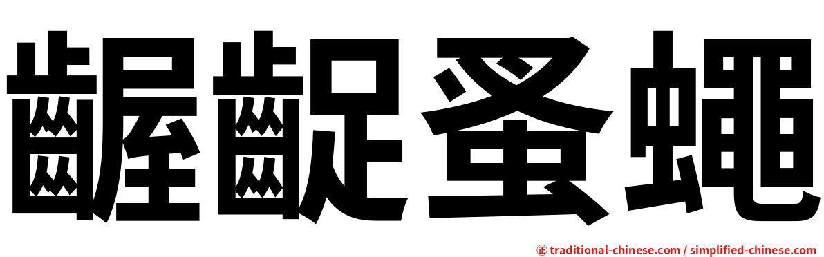 齷齪蚤蠅