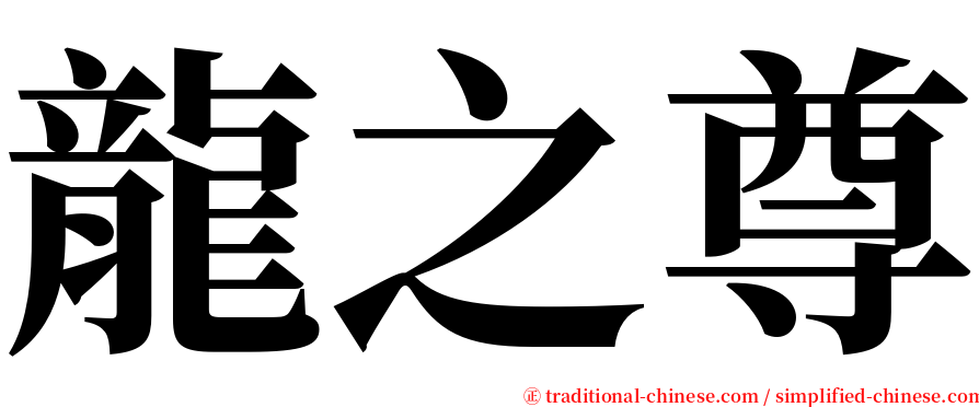 龍之尊 serif font