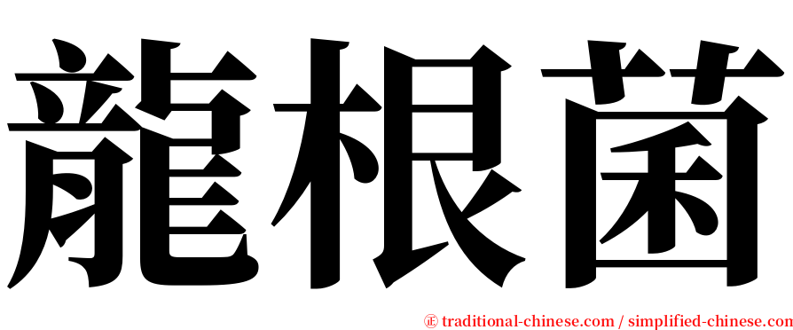龍根菌 serif font