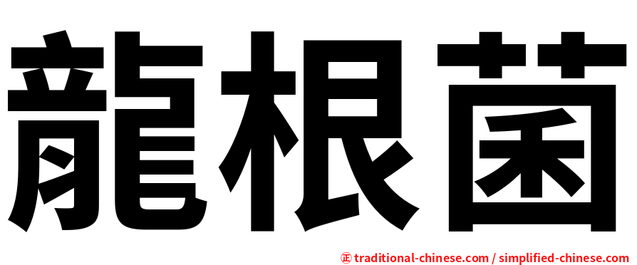 龍根菌