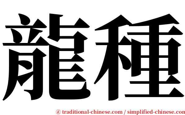 龍種 serif font