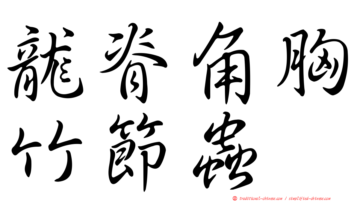 龍脊角胸竹節蟲