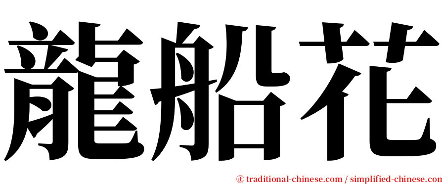 龍船花 serif font