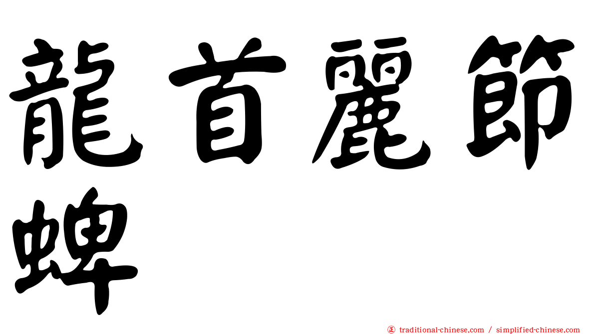 龍首麗節蜱
