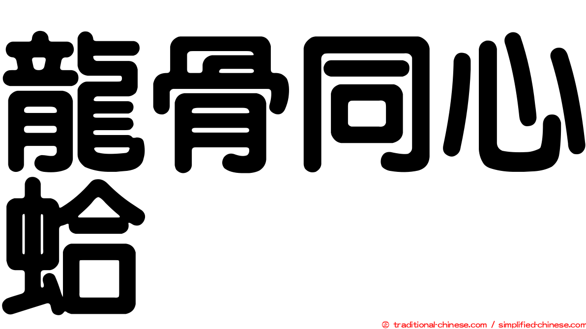 龍骨同心蛤