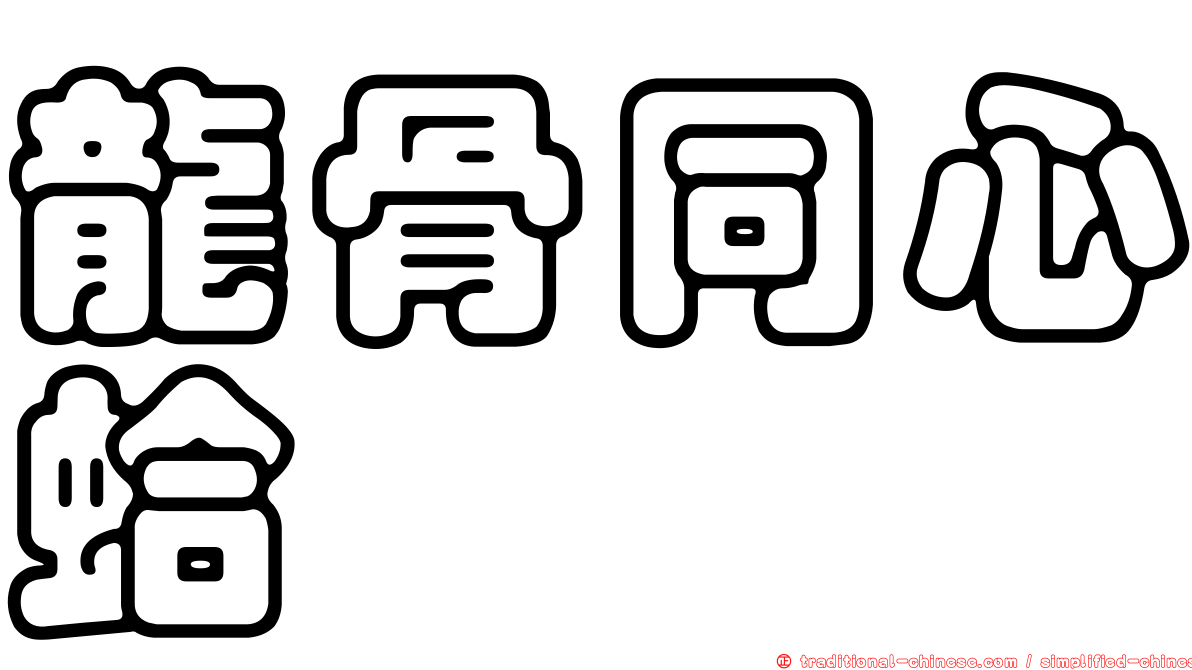 龍骨同心蛤