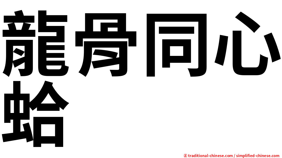 龍骨同心蛤