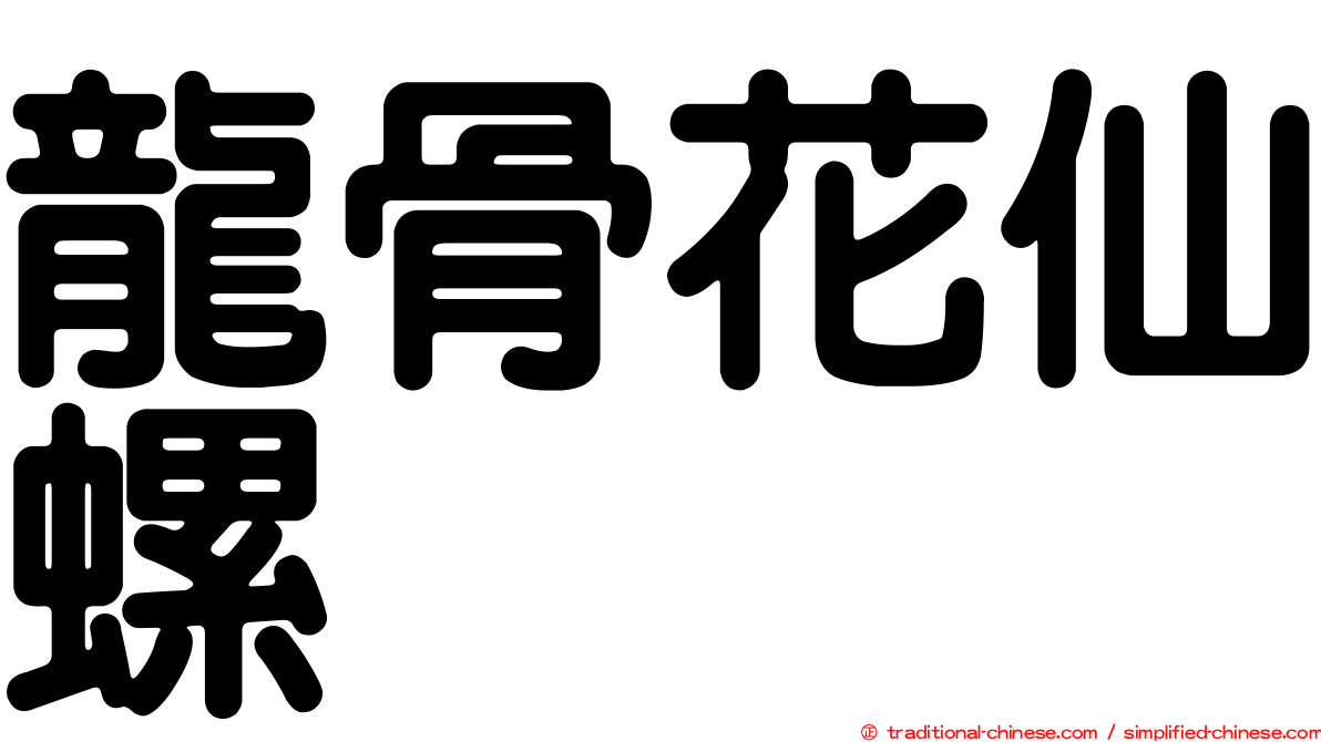 龍骨花仙螺