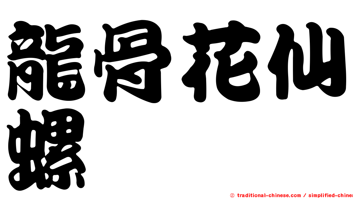龍骨花仙螺