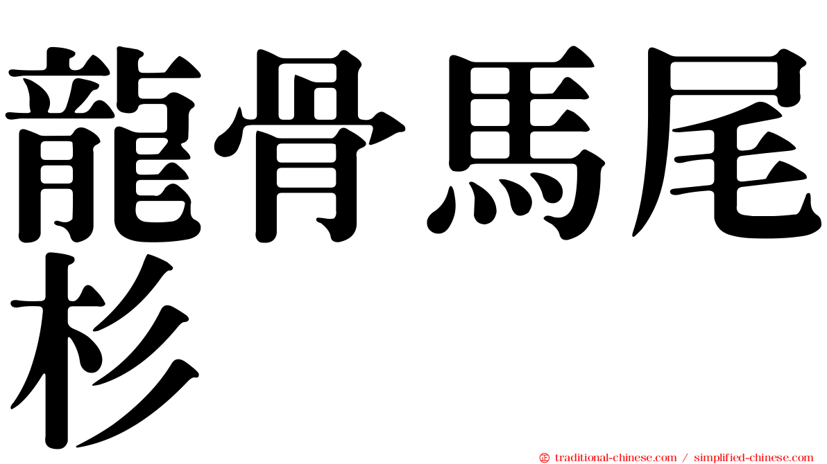 龍骨馬尾杉