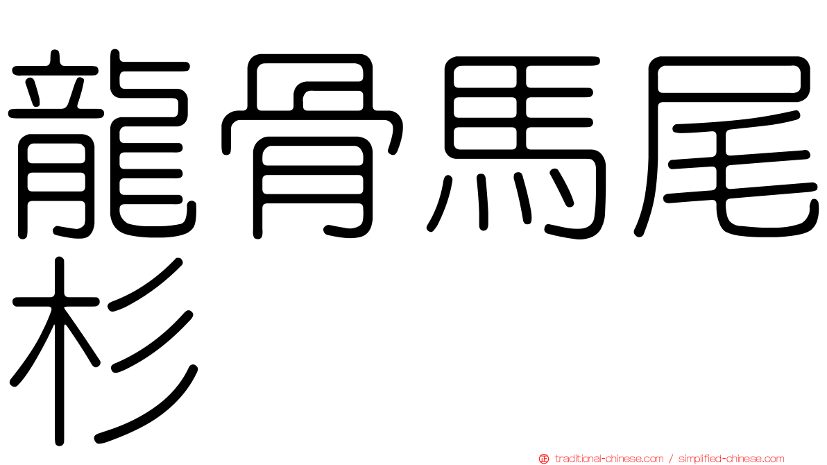 龍骨馬尾杉