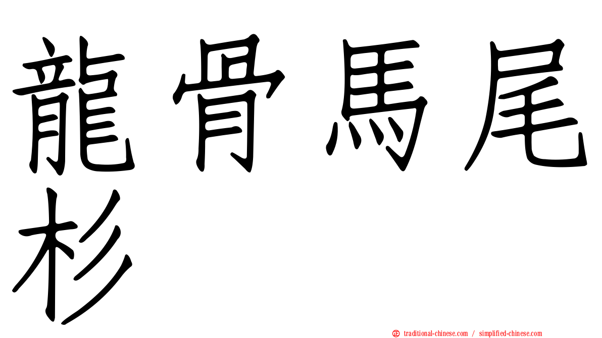 龍骨馬尾杉