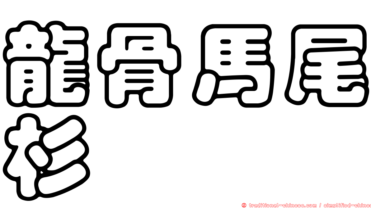 龍骨馬尾杉