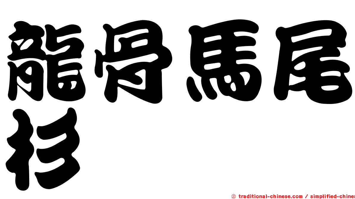 龍骨馬尾杉