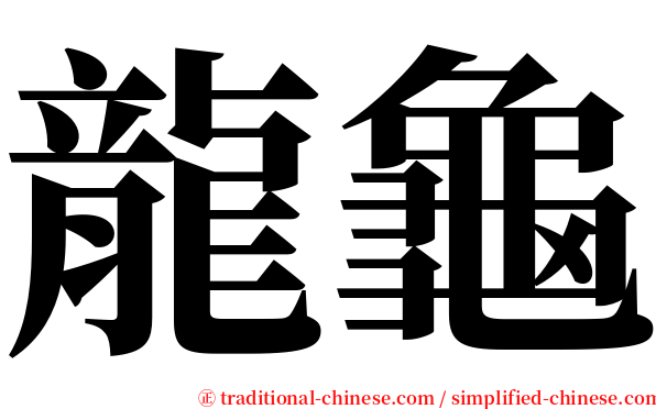 龍龜 serif font