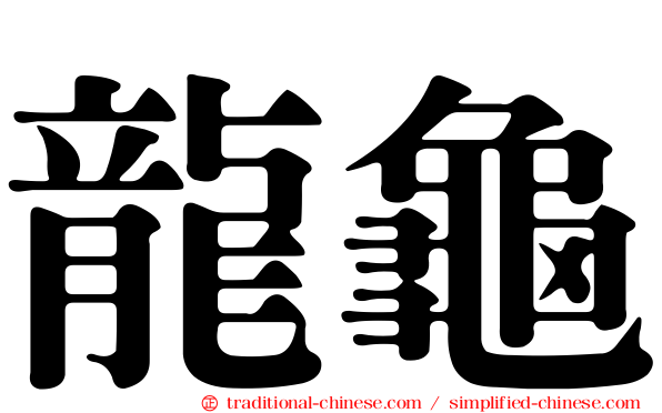 龍龜