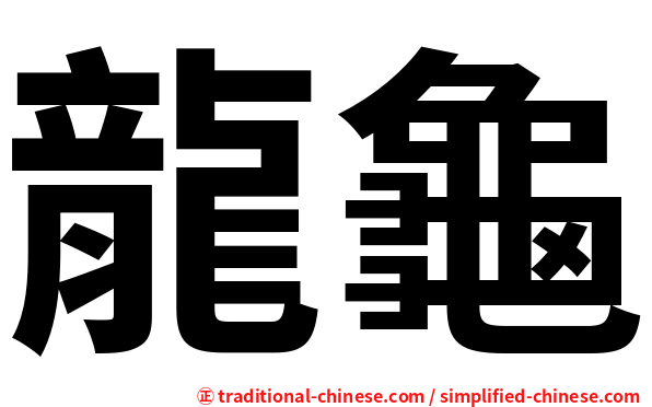 龍龜