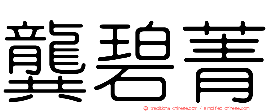 龔碧菁