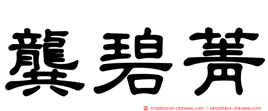 龔碧菁