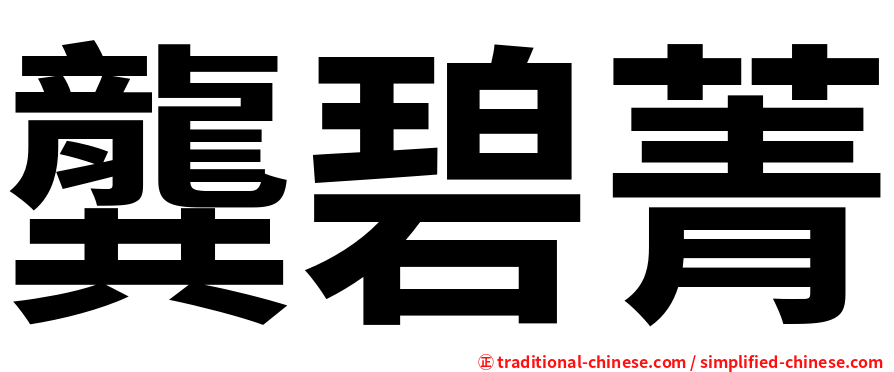 龔碧菁