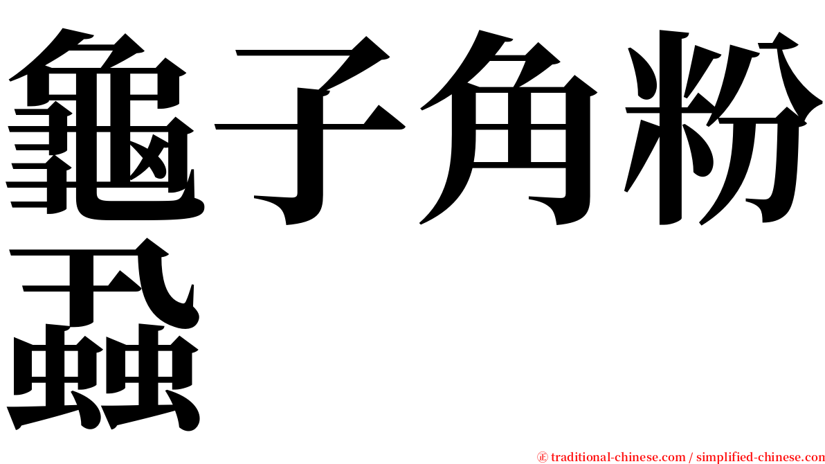龜子角粉蝨 serif font