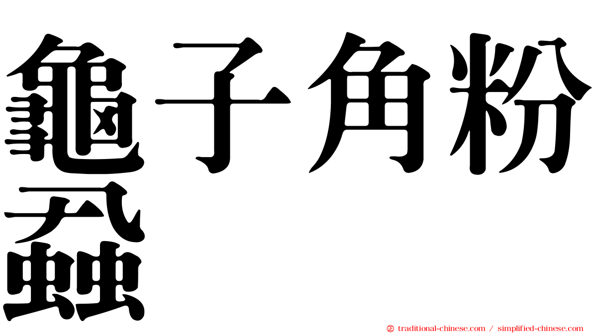 龜子角粉蝨
