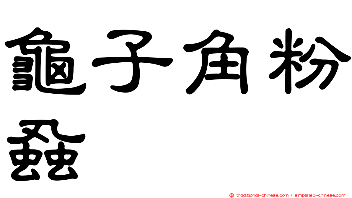 龜子角粉蝨