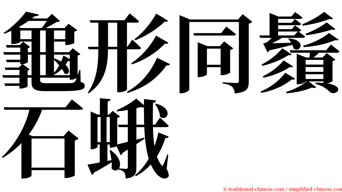 龜形同鬚石蛾 serif font