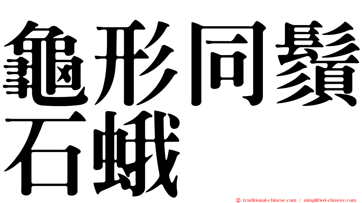 龜形同鬚石蛾