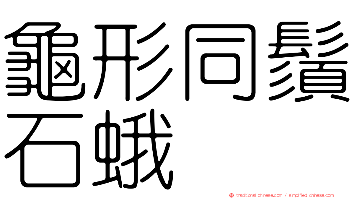 龜形同鬚石蛾