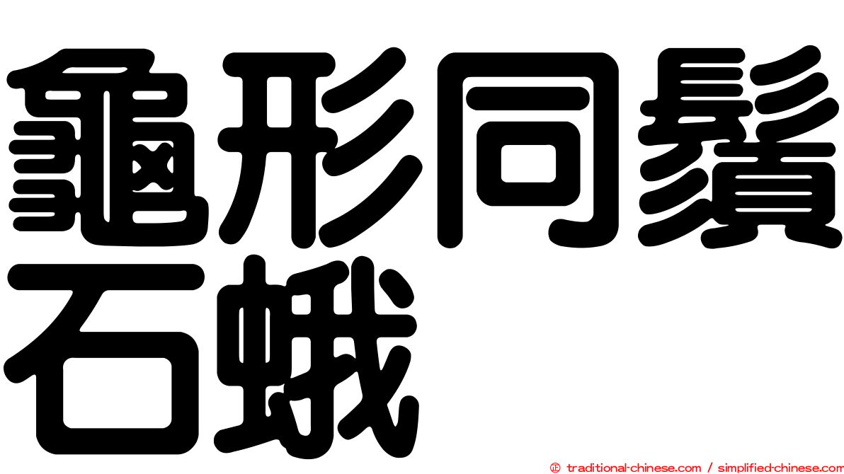 龜形同鬚石蛾