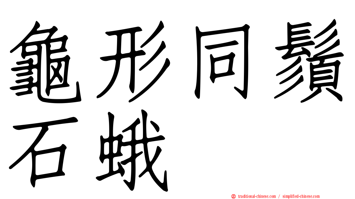 龜形同鬚石蛾