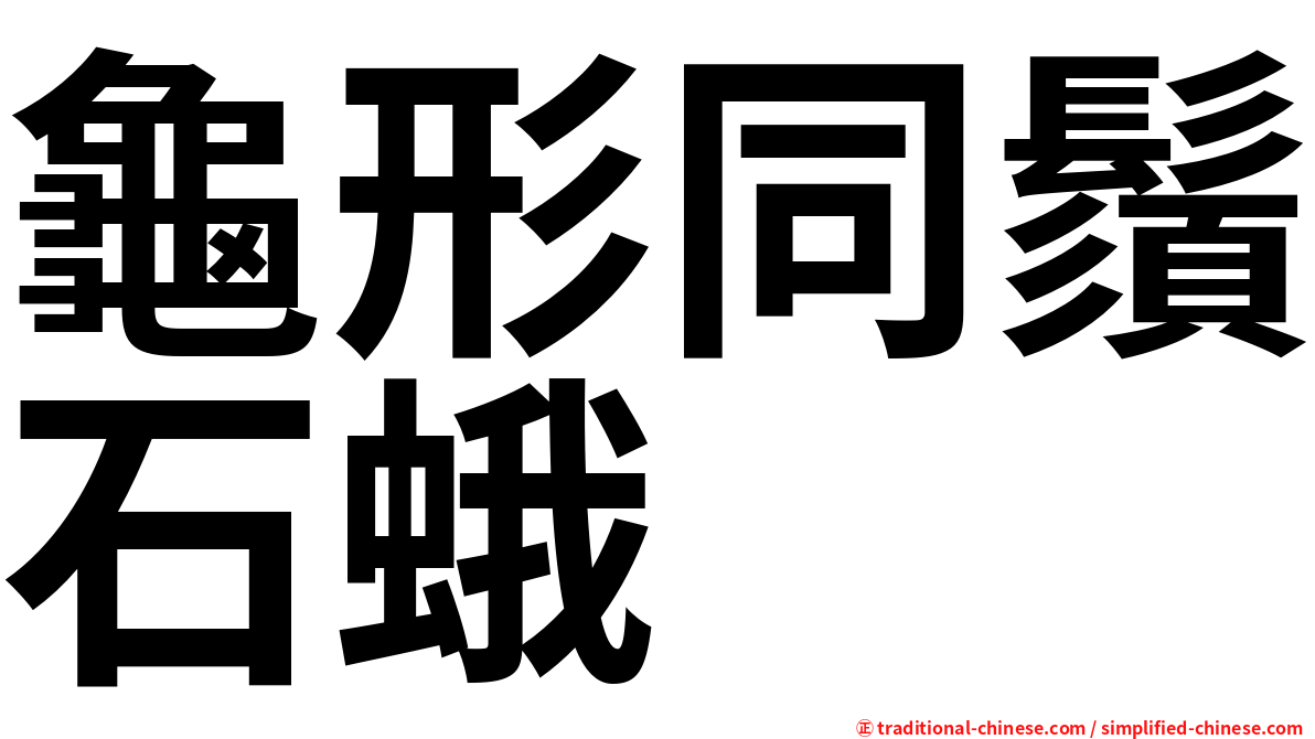 龜形同鬚石蛾