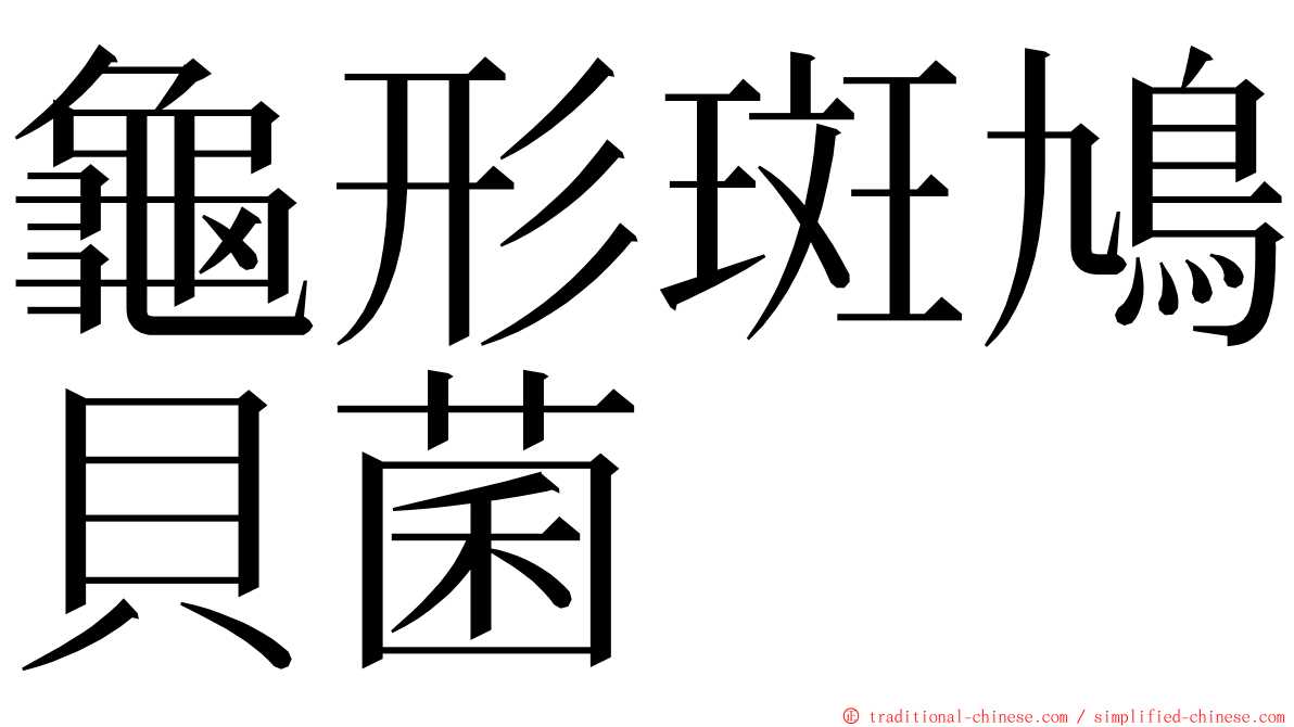 龜形斑鳩貝菌 ming font