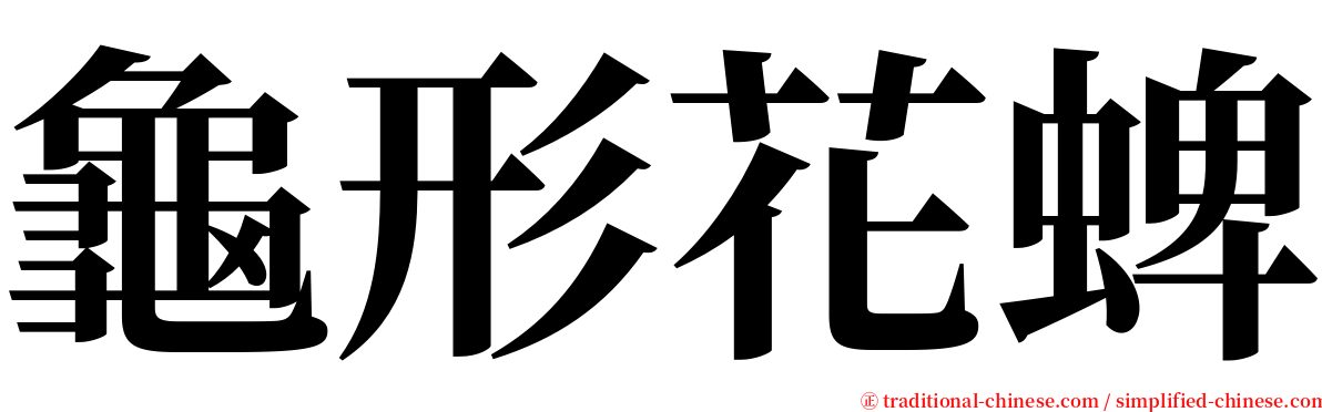 龜形花蜱 serif font