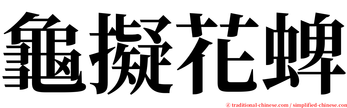 龜擬花蜱 serif font