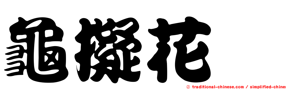 龜擬花蜱