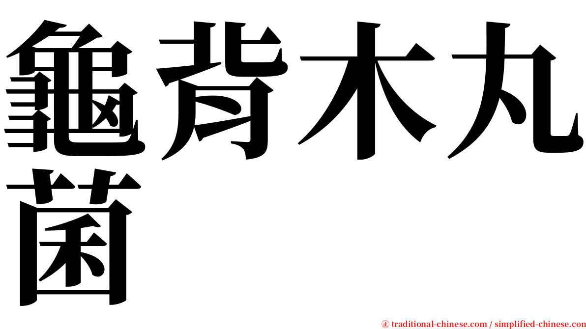 龜背木丸菌 serif font