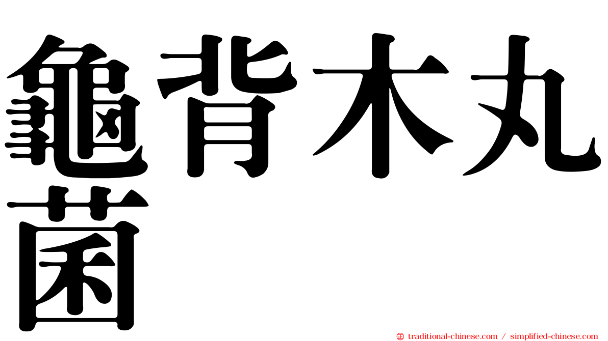 龜背木丸菌