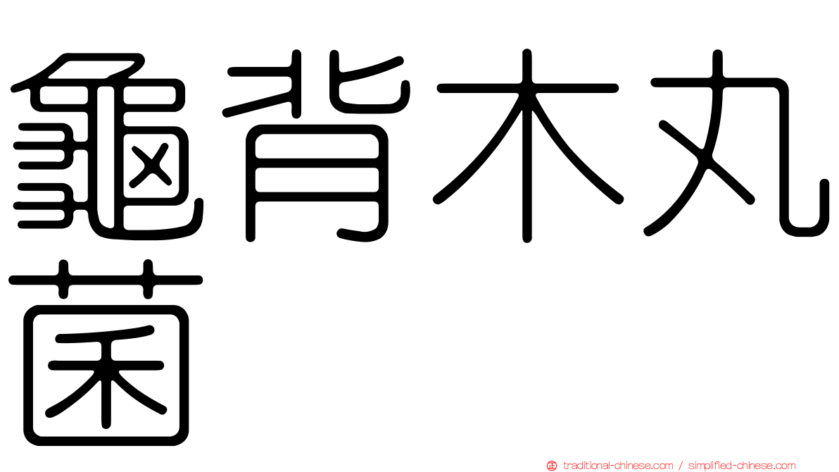 龜背木丸菌