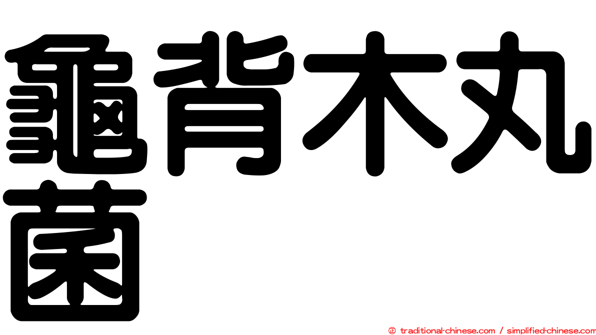 龜背木丸菌