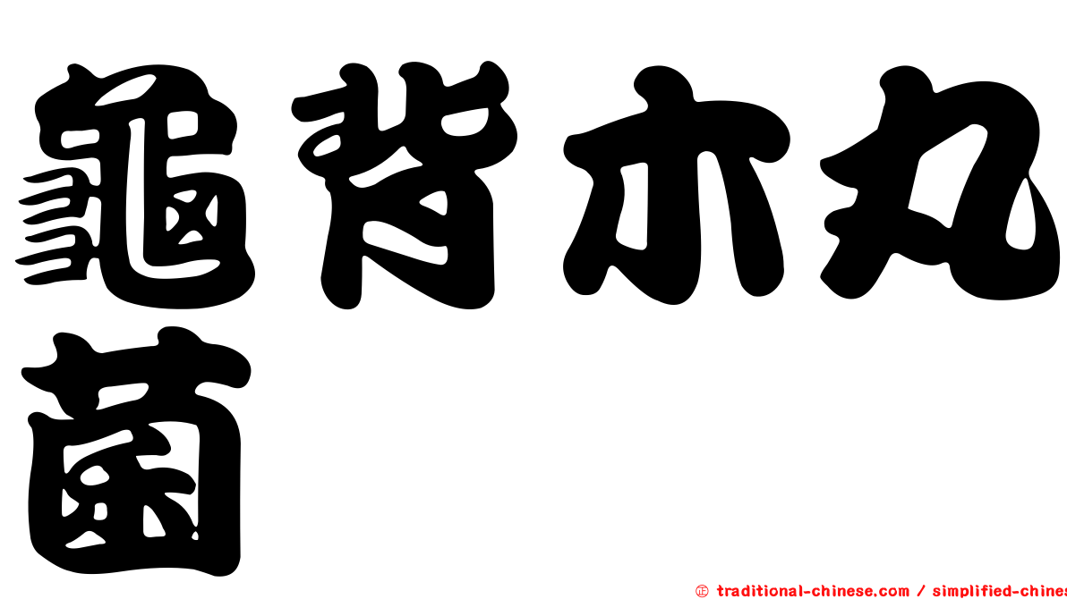 龜背木丸菌